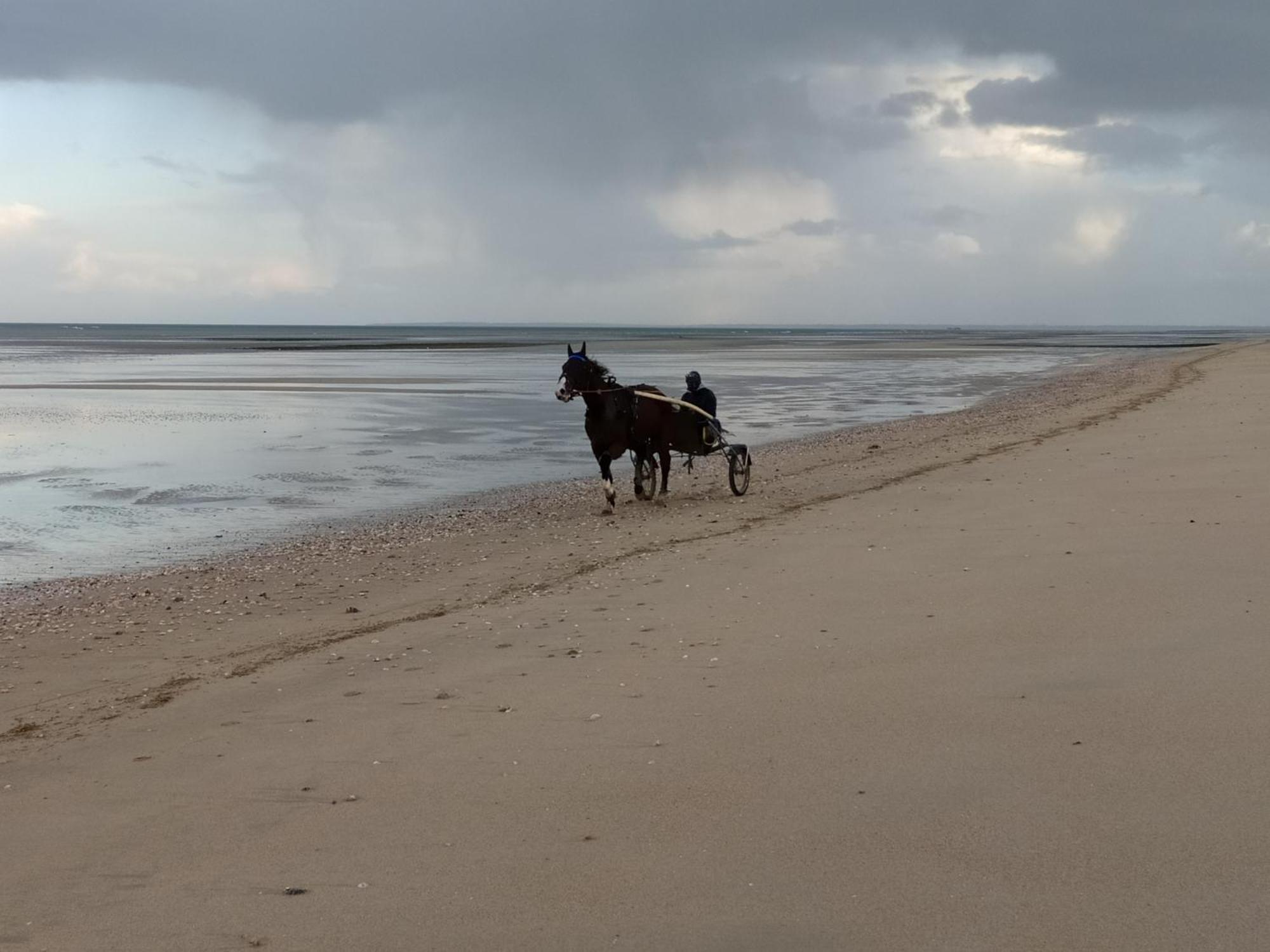 Gîtes Arromanches ou Bord de Mer PMR Asnelles Eksteriør bilde